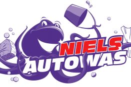 Niels-Autowas-Co-Pilot